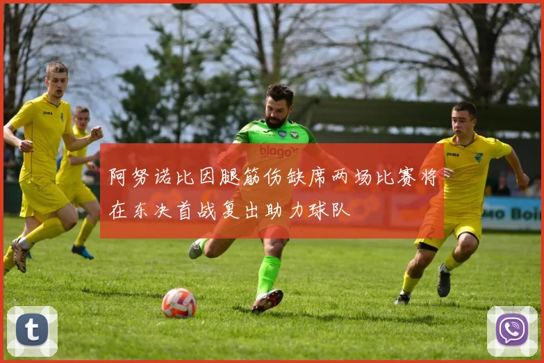 阿努诺比因腿筋伤缺席两场比赛将在东决首战复出助力球队